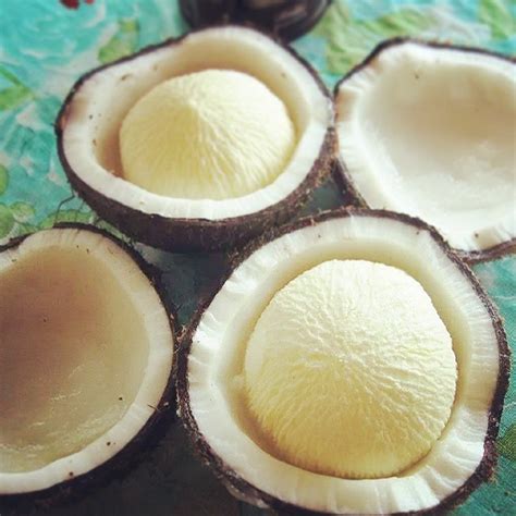 laman ng niyog|Niyog .